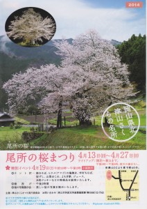 桜祭り広告